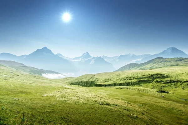 Vallée Grindelwald Depuis Sommet Première Montagne Suisse — Photo