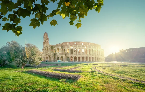 Colosseum Rom Soluppgångstid Italien — Stockfoto