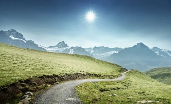 Vallée Grindelwald Depuis Sommet Première Montagne Suisse — Photo