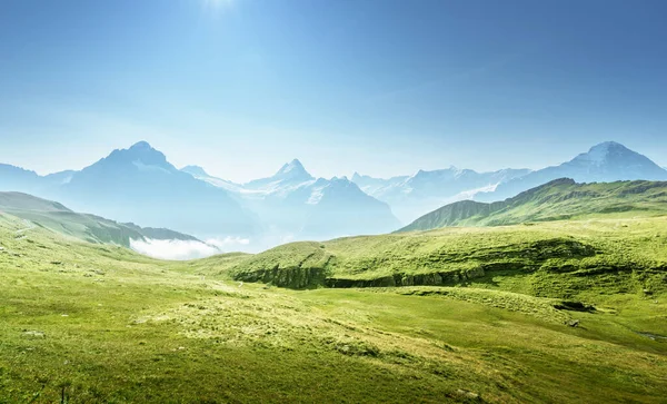 Grindelwaldské Údolí Vrcholu První Hory Švýcarsko — Stock fotografie