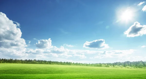 Поле Травы Совершенное Голубое Небо — стоковое фото