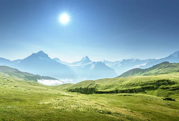 Valle Grindelwald Desde Cima Primera Montaña Suiza —  Fotos de Stock