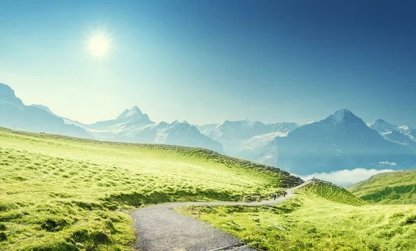 Valle Del Grindelwald Dalla Cima Della Prima Montagna Svizzera — Foto Stock