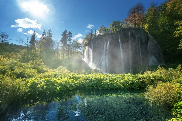 Vodopád Lese Plitvická Jezera Chorvatsko — Stock fotografie