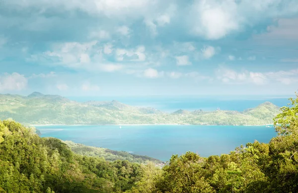 Seychelles Dzsungele Mahe Sziget — Stock Fotó