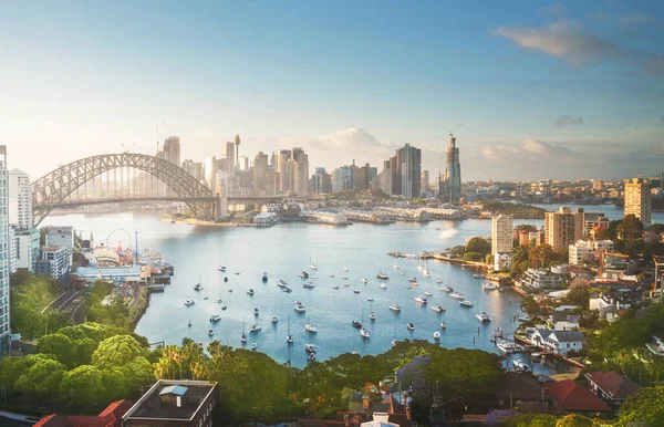 澳大利亚新南威尔士州悉尼港口日出 — 图库照片