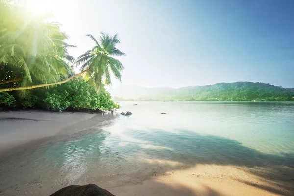 Praia Ilha Mahe Seychelles — Fotografia de Stock