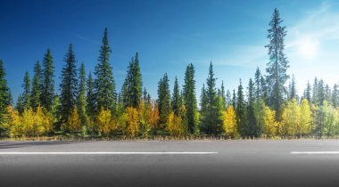 İsveç 'te sonbahar ormanlarında yol