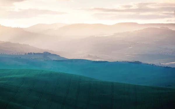 Temprano Mañana Primavera Toscana Italia —  Fotos de Stock