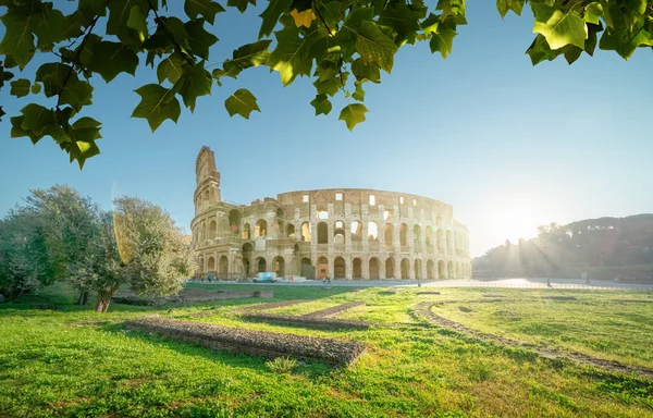 Koloseum Římě Čas Východu Slunce Itálie — Stock fotografie