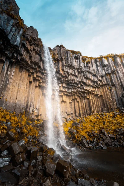 Svartifoss Schwarzer Wasserfall Island — Stockfoto