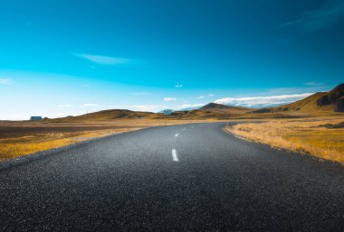 Asfalt yolu ile İzlanda manzarası