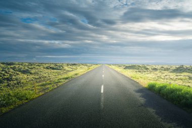 Asfalt yolu ile İzlanda manzarası