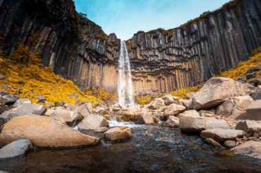 Svartifoss, Kara Şelale, İzlanda
