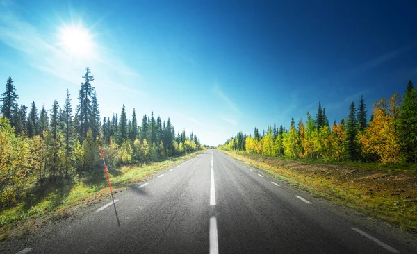 Strada Nella Foresta Autunnale Svezia — Foto Stock