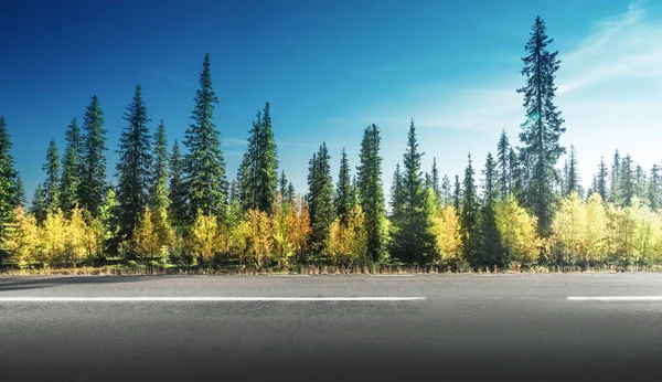 Estrada Floresta Outono Suécia — Fotografia de Stock