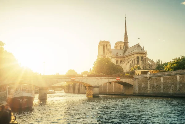 Notre Dame Paris Γαλλία — Φωτογραφία Αρχείου