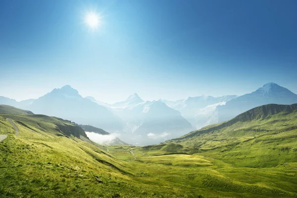 Федельвальд Вершины Первой Горы Швейцария — стоковое фото