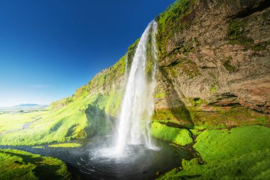 Yaz mevsiminde Seljalandfoss Şelalesi, İzlanda
