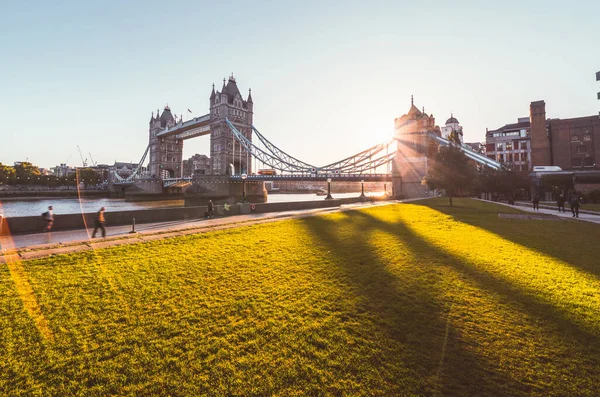 晴れた朝の芝生とタワーブリッジ ロンドン イギリス — ストック写真