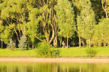 Yaz öğleden sonra şehirde Park ağaçlarda yaz Bisiklet Park ışığında Lake banyo. Güneşli manzara yeşil çimenlerin üzerinde çim, ağaçlar ve Masaüstü pines kesilmiş