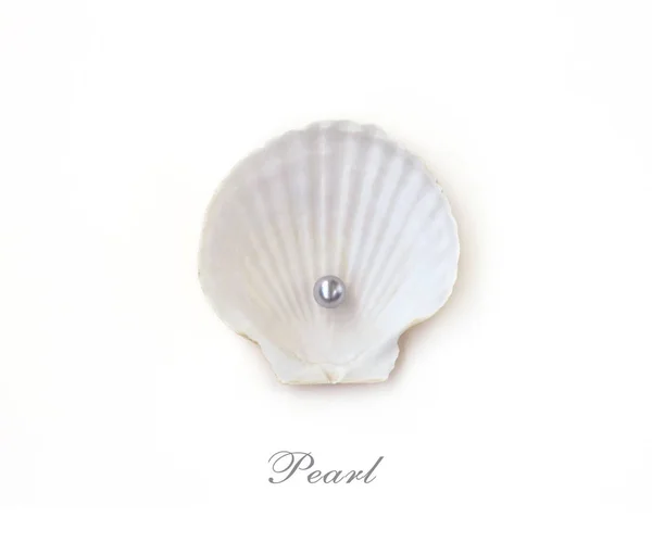 Seashell Met Pearl Geïsoleerd Een Witte Achtergrond Ruimte Voor Tekst — Stockfoto