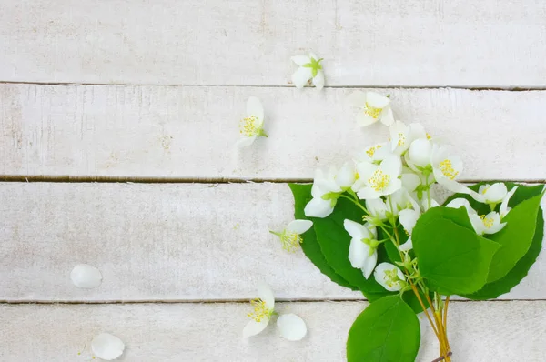 Boeket Van Delicate Jasmine Flower Witte Houten Tafel Bovenaanzicht — Stockfoto