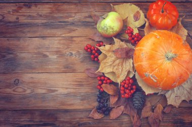 Sonbahar zaman arka plan, pumpkins, kuru yaprakları, çilek, eski çanta üzerinde ahşap bir masa, üstten görünüm