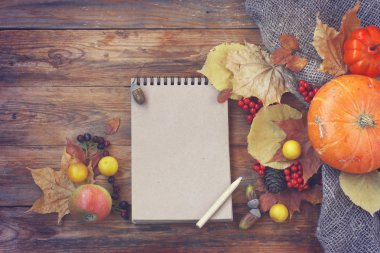 sonbahar arka plan, pumpkins, kuru yapraklar, çilek, Not defteri ve kalem eski ahşap tablo
