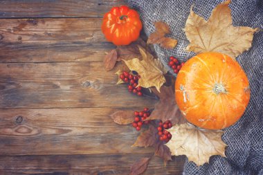 Sonbahar zaman arka plan, pumpkins, kuru yapraklar, üvez meyveleri üzerinde eski ahşap masa, üstten görünüm
