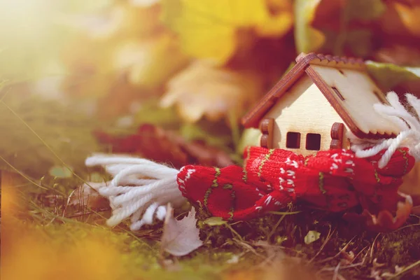 Domek Zabawka Owinięte Szalik Lesie Jesienią Oświetlone Przez Słońce Zdjęcie — Zdjęcie stockowe