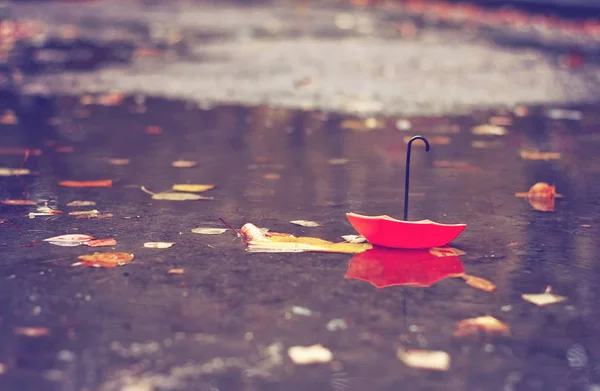 Игрушечный Красный Зонтик Лежит Грязной Луже Листьями Осенний Пейзаж Городском Стоковое Изображение