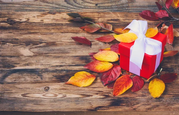 Feuilles d'automne colorées et boîte cadeau rouge — Photo