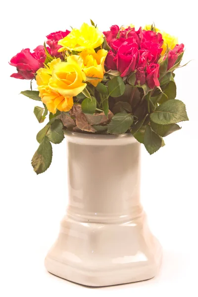 Rosas Vaso Cerâmico Isoladas Socapa — Fotografia de Stock