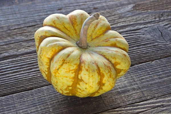 Pumpkin Wooden Background — Stock Photo, Image