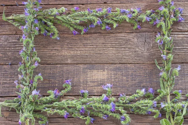 Cornice di fiori blu su sfondo di legno — Foto Stock