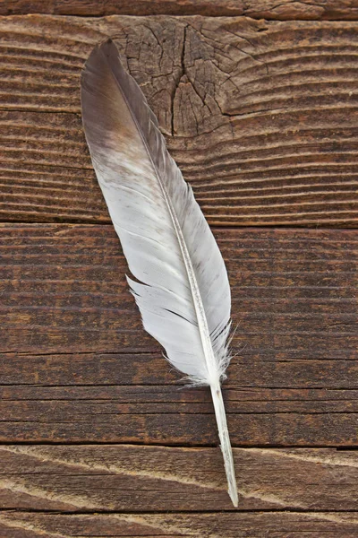 Ahşap arkaplanda tüy