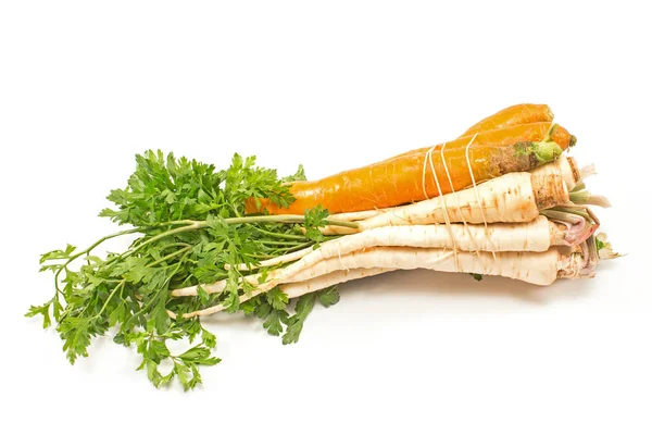 Parsley and carrot isolated on white background — Stock Photo, Image