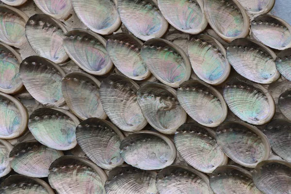 Pouliční Dekorace Oblasti Ostrov Penotte Les Sables Olonne — Stock fotografie