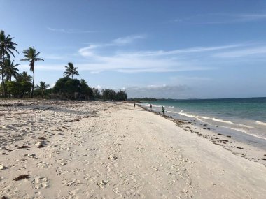 Kenya 'daki Diani Sahili