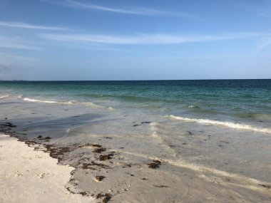 Kenya 'daki Diani Sahili