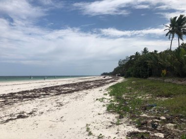 Kenya 'daki Diani Sahili