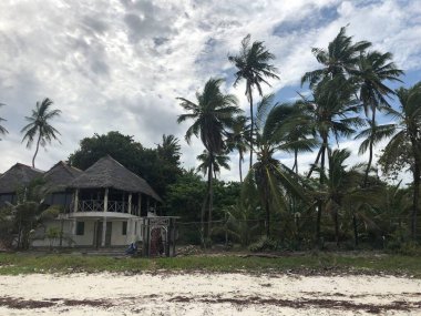 Kenya 'daki Diani Sahili