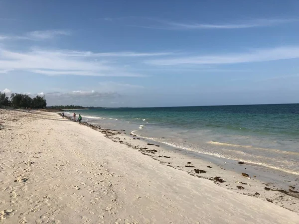 Beach Diani Beach Kenya — Stock Photo, Image