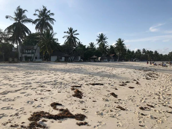 Strand Diani Beach Kenya - Stock-foto