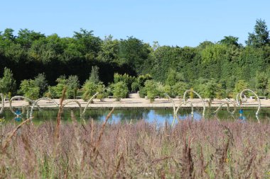 Versay Sarayı 'nda modern bir çeşme