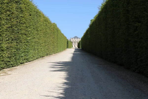 Veduta Prospettiva Dei Giardini Della Reggia Versailles — Foto Stock