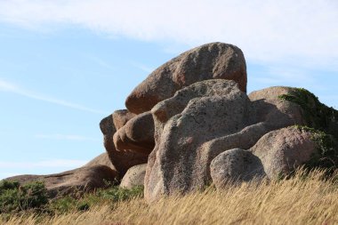 Cote de granit gülü ya da Pembe Granit Sahili, Fransa
