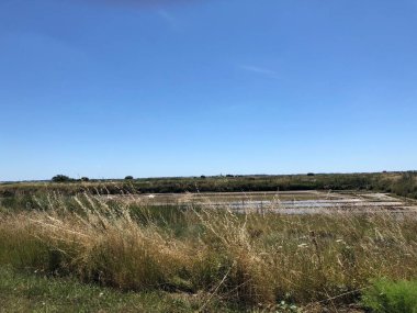 Guerande, Fransa 'nın ünlü tuz bataklıklarının manzarası