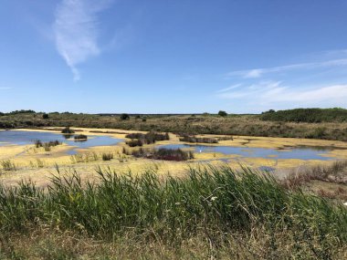 Guerande, Fransa 'nın ünlü tuz bataklıklarının manzarası